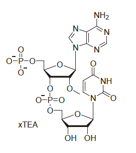 Pseudo-UTP 200mM Tris solution CAS PUTPT200 OMAU100 - Pseudo-UTP 200mM Tris solution CAS PUTPT200