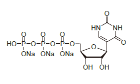Pseudo-UTP 100mM Sodium solution CAS PUTP100 PUTP100 - Pseudo-UTP 100mM Sodium solution CAS PUTP100