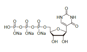 PUTP100 - DMTr-2'-O-C16-rC(Ac)-3'-CE-Phosphoramidite CAS 2382942-38-1