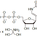 PUTPT100 150x150 - Carbohydrate and Nucleotide Development