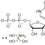 PUTPT200 150x150 - Carbohydrate and Nucleotide Development