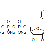 UTP100 150x150 - Carbohydrate and Nucleotide Development