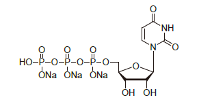 UTP100 - EPS/4-Nitrophenyl O-4,6-O-ethylidene-alpha-D-maltoheptaoside CAS 96597-16-9