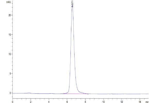 Human SEZ6L2 Protein, Accession: Q6UXD5