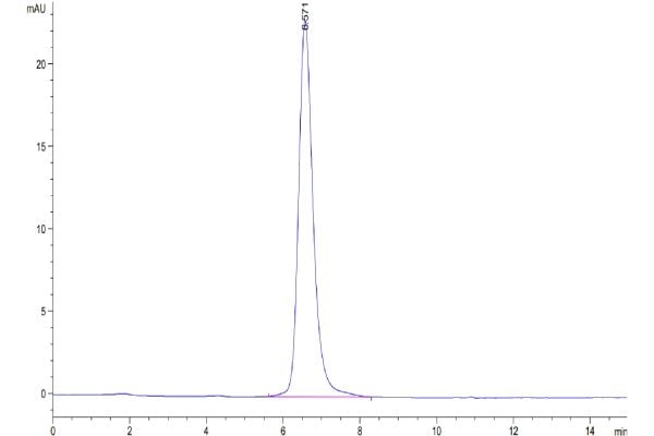 20210924103603 600x400 - Biotinylated Human GPRC5D Protein-VLP, Accession: Q9NZD1