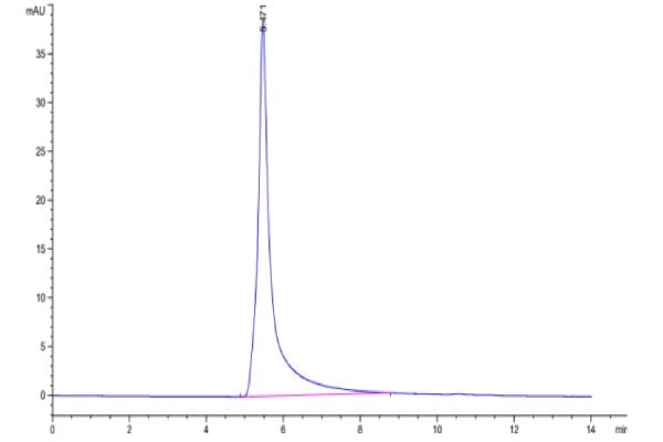 Human Cannabinoid receptor 2 Protein-VLP, Accession: P34972