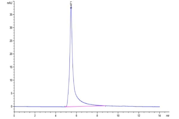 20220304124221 600x400 - Biotinylated Human GPRC5D Protein-VLP, Accession: Q9NZD1