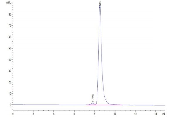 20220307114636 600x400 - Biotinylated Human Siglec-5/CD170 Protein (Primary Amine Labeling), Accession: O15389