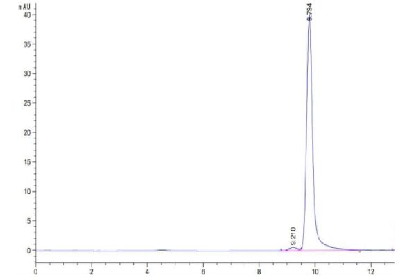 20220704135410 600x400 - Human PRL-2/PTP4A2 Protein, Accession: Q12974