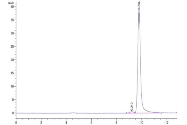 20220704135410 600x400 - Human SEZ6L2 Protein, Accession: Q6UXD5