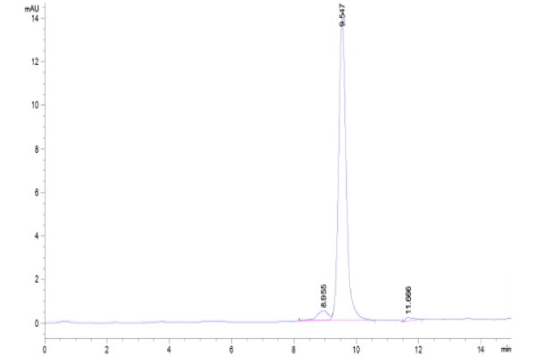 Canine DDT Proten, Accession: XP_003639975