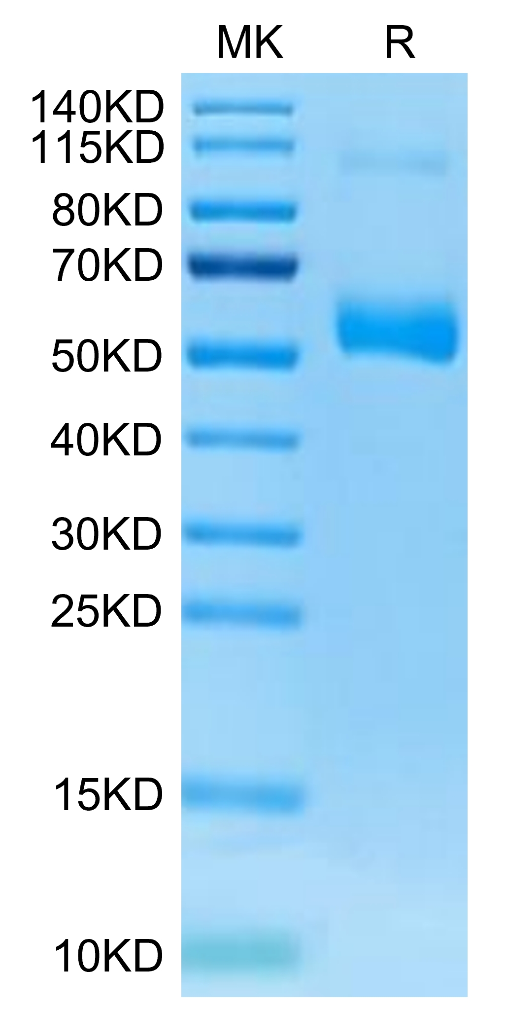 20220801125318