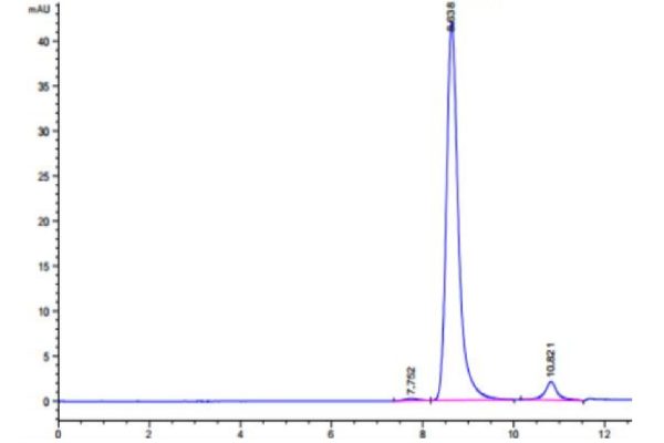 20220802132058 600x400 - ST3 beta-Gal alpha-2,3-Sialyltransferase 2/ST3GAL2 CAS 24-3-41302 EC:2.4.3.4