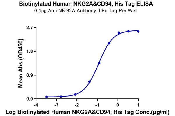 Biotinylated Human NKG2A&CD94 Protein, Accession: P26715 20220826155022 600x400 - Biotinylated Human NKG2A&CD94 Protein, Accession: P26715