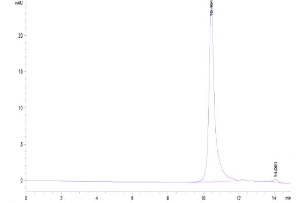 20220904111119 600x400 - Human SEZ6L2 Protein, Accession: Q6UXD5