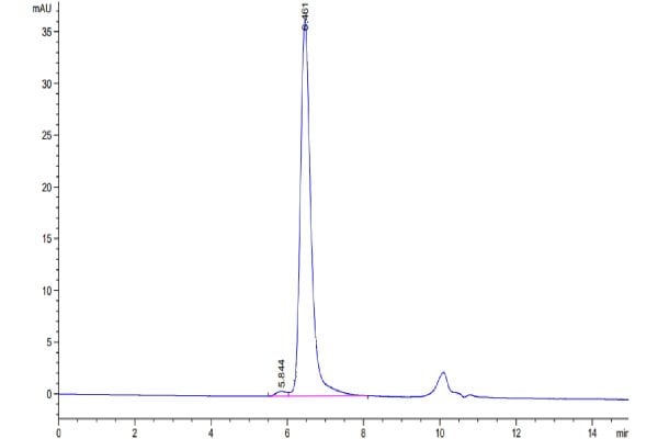 Human HSP70 Protein, Accession: P0DMV8