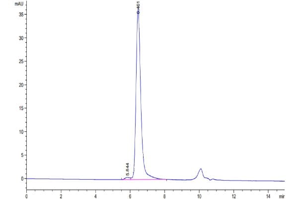 20221011103922 600x400 - Human SEZ6L2 Protein, Accession: Q6UXD5