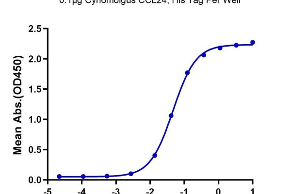 20230322181620 600x400 - Cynomolgus CCL24 Protein, Accession: XP_005549400