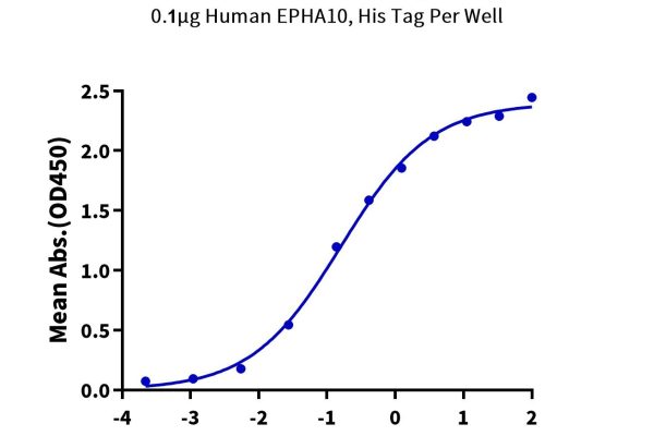 20230602152445 600x400 - Human EPHA10 Protein, Accession: Q5JZY3