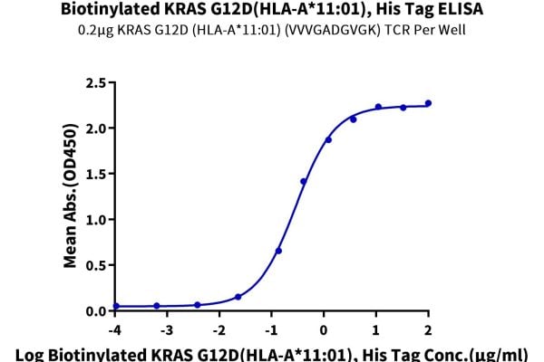 20230625151320 600x400 - Biotinylated Human GPRC5D Protein-VLP, Accession: Q9NZD1