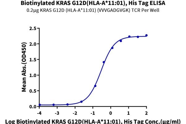 Biotinylated Human KRAS G12D (HLA-A*11:01) Protein, Accession: AAV53343