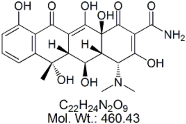14206 58 7 600x400 - Rifaximin EP Impurity G CAS 80621-76-7