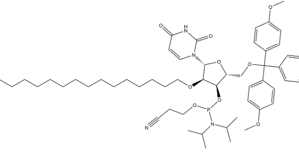 structure of DMTr 2 O C16 rU 3 CE Phosphoramidite CAS 2382942 83 6 600x305 - DMTr-2'-O-C16-rC(Ac)-3'-CE-Phosphoramidite CAS 2382942-38-1