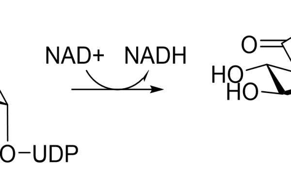 111 1 47 600x400 - RsHexNacO(N-acylhexosamine oxidase) CAS 111-3-29 E.C.:1.1.3.29