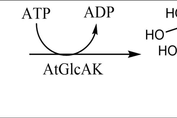 121 7 43 600x400 - ATP-Sulfurylase,AnSAT CAS 127-7-41 EC 2.7.7.4