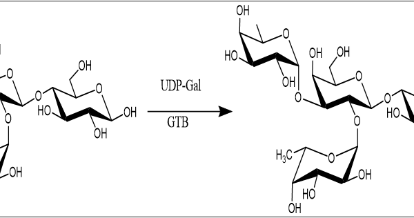 124 1 37 600x316 - Alpha1,3-galactosyltransferase;GTB CAS 124-1-37 E.C.:2.4.1.37
