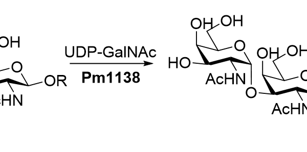 124 1 40 600x298 - Alpha1,3-N-acetylgalactosaminyltransferase; Pm1138 CAS 124-1-40 E.C.: 2.4.1.40