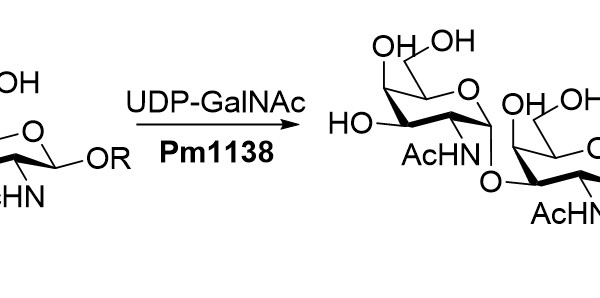 124 1 40 600x298 - Purine nucleoside hydrolase;TbIAGNH CAS 32-2-12 E.C.:3.2.2.1