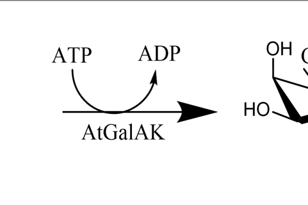 127 1 44 600x400 - ATP-Sulfurylase,AnSAT CAS 127-7-41 EC 2.7.7.4