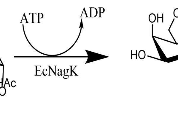 127 1 59 600x400 - ATP-Sulfurylase,AnSAT CAS 127-7-41 EC 2.7.7.4