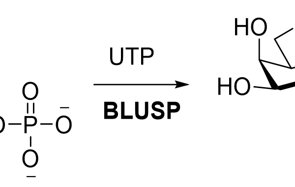 127 7 64 600x380 - Purine nucleoside hydrolase;TbIAGNH CAS 32-2-12 E.C.:3.2.2.1