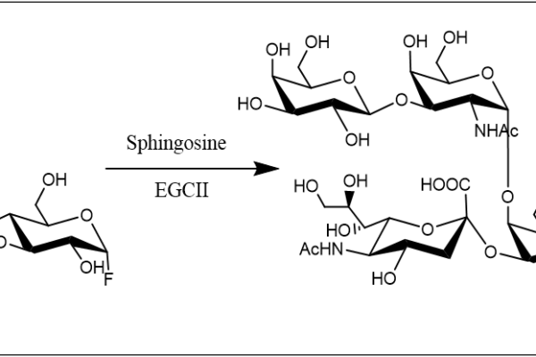 32 1 123 600x400 - Endo-Beta-N-acetylglucosaminidase M;EndoM CAS 32-1-961 EC:3.2.1.96
