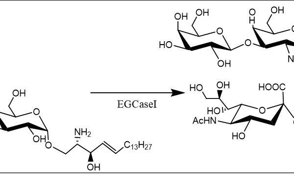32 1 1231 600x355 - Endo-Beta-N-acetylglucosaminidase mutant;Endo S2 (T138Q) CAS 32-1-962 EC:3.2.1.96