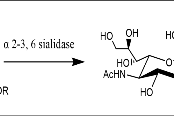 32 1 184 600x400 - Endo-Beta-N-acetylglucosaminidase mutant;Endo S2 (T138Q) CAS 32-1-962 EC:3.2.1.96