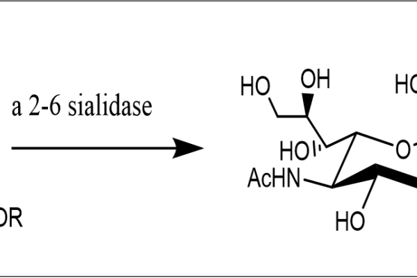 32 1 186 600x400 - Endo-Beta-N-acetylglucosaminidase mutant;Endo S2 (T138Q) CAS 32-1-962 EC:3.2.1.96