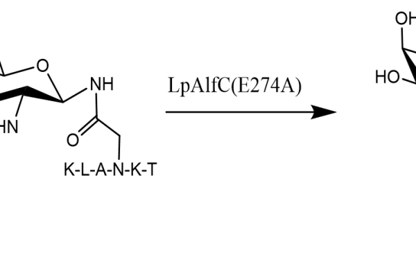 32 1 51 600x400 - RsHexNacO(N-acylhexosamine oxidase) CAS 111-3-29 E.C.:1.1.3.29