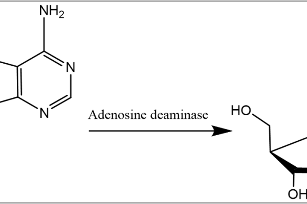 35 4 412 600x400 - Adenosine deaminase;RnADA CAS 35-4-412 E.C.:3.5.4.4