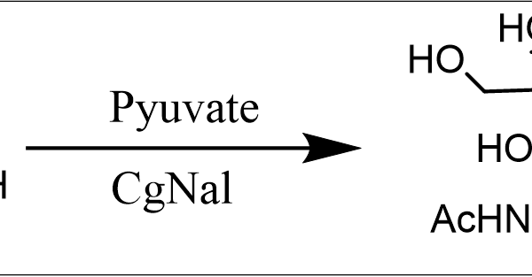 41 3 34 600x313 - Sialic acid aldolase;CgNal CAS 41-3-34 E.C.:4.1.3.3