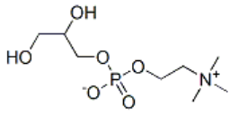 Structure of L A GLYCERYLPHOSPHORYLCHOLINEGPC CAS 4217 84 9 - C5-Pomalidomide CAS 191732-76-0