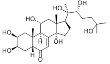 Structure of turkesterone CAS 41451 87 0 - Products