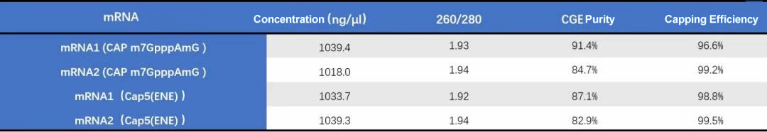 For both Cap5(ENE) and CAP m7GpppAmG mRNA, the overall preparation CGE purity is ≥82%; capping efficiency is ≥96%