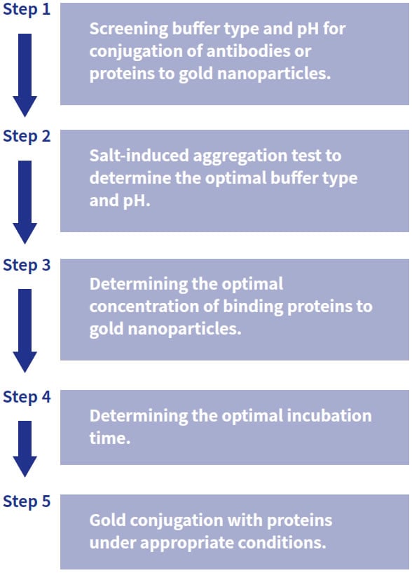 Gold Conjugation Flow Chart