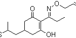 Structure of Clethodim CAS 99129 21 2 150x75 - 2-(2-butyl-4-hydroxy-6-MethylpyriMidin-5-yl)-N,N-diMethylacetaMide CAS 1315478-13-7
