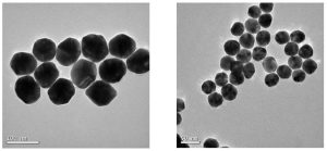The monodisperse gold nanoparticles (Left: WI-60, Right: WI-40) with a consistent, spherical shape.
