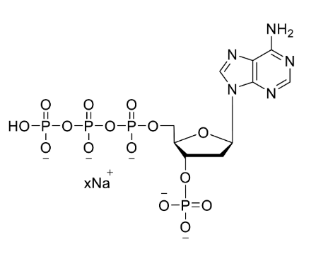 3′-P-dATP 100mM Sodium Solution CAS dNTP051
