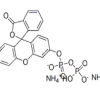 Fluorescein diphosphate, tetraammonium salt CAS 197777-66-5